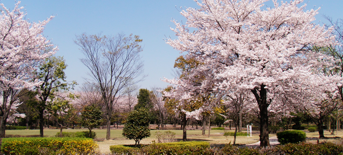 熊谷さくら運動公園（庭園）