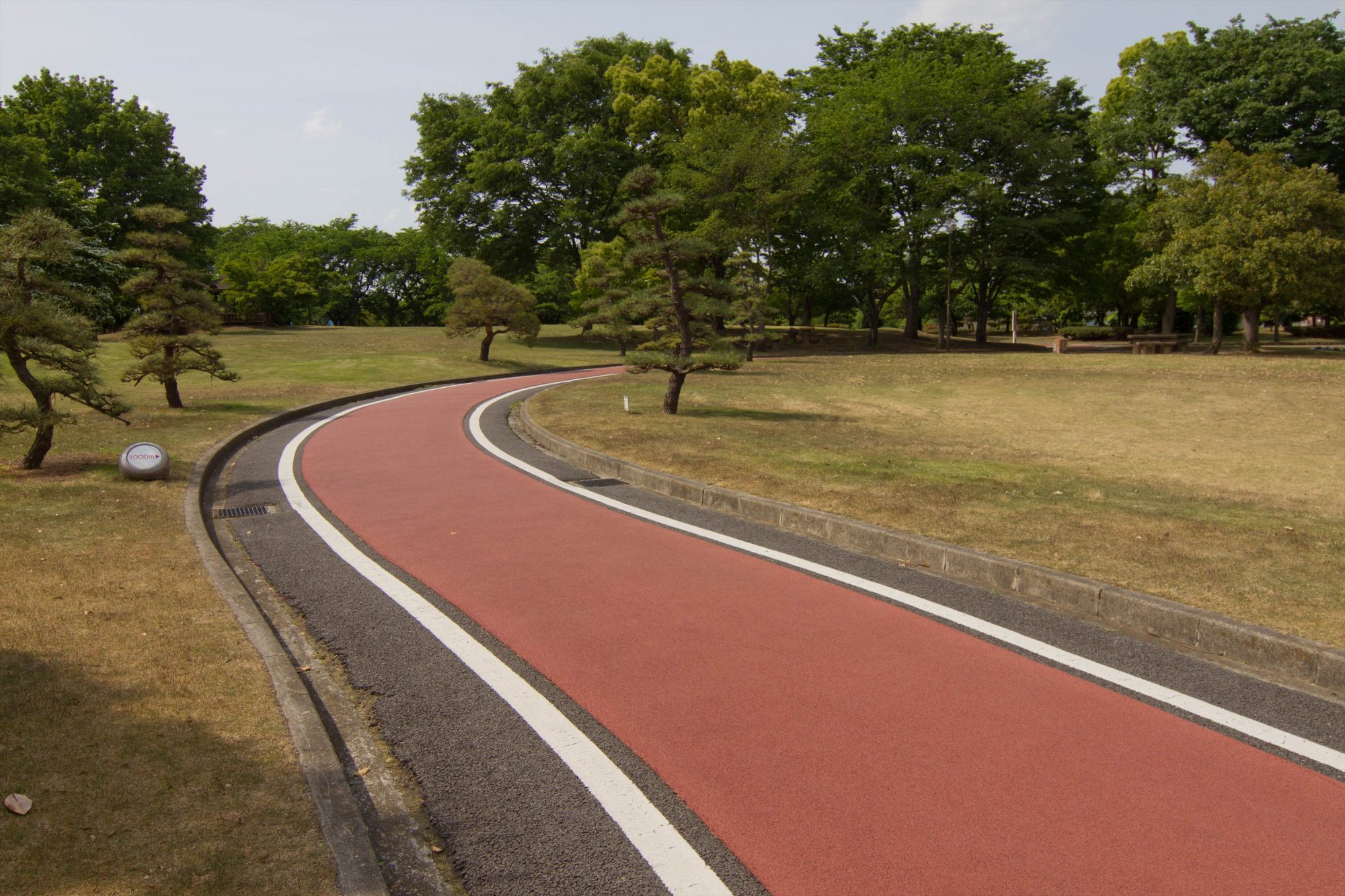 ジョギングコース 熊谷さくら運動公園